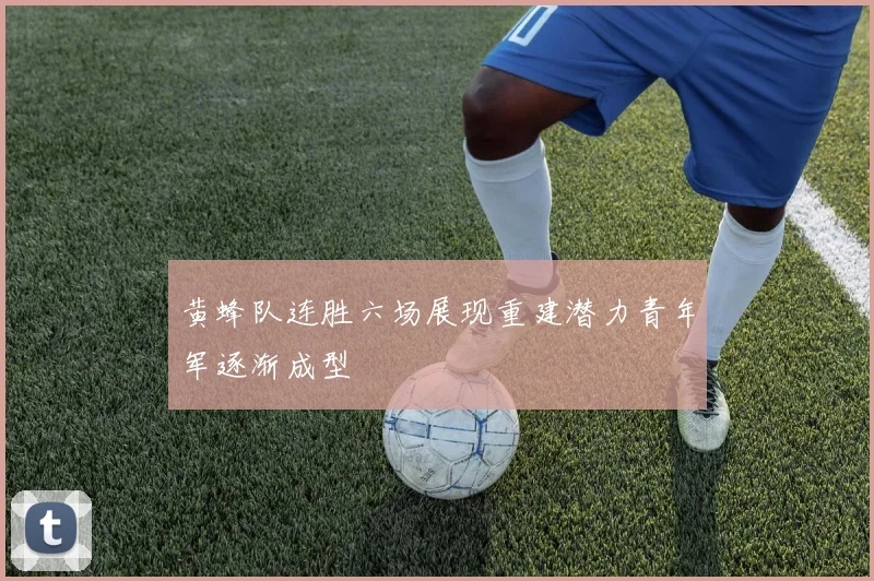 黄蜂队连胜六场展现重建潜力青年军逐渐成型